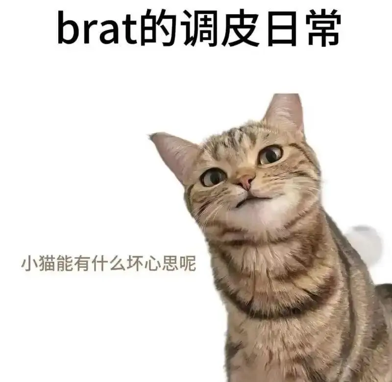 我竟然爱上了被鞭打的感觉，原来这就是spank的魅力所在 一