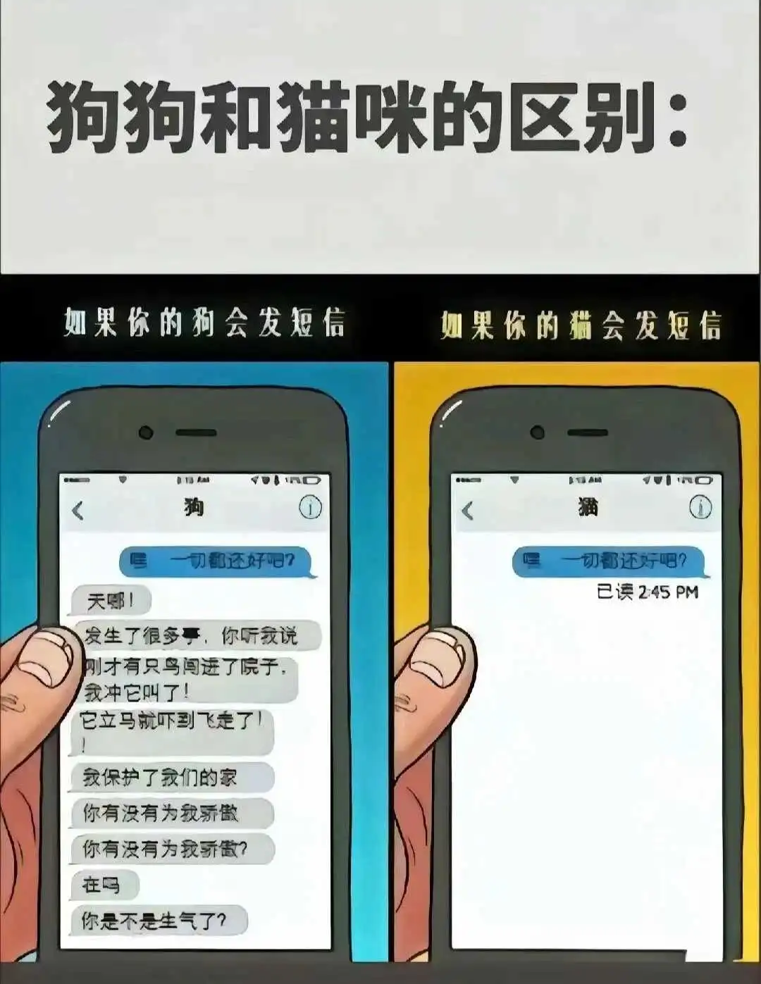 “k9究竟是什么？揭秘背后的故事与意义” 一