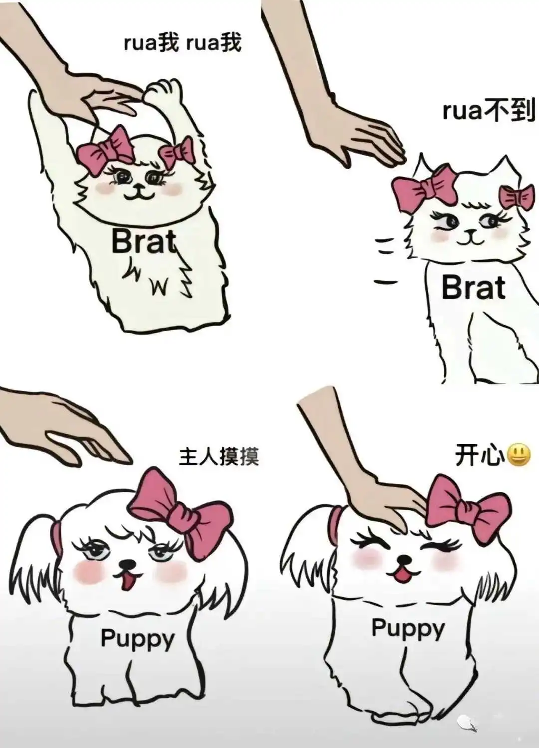 “k8究竟是什么？你不知道的猫奴世界” 一