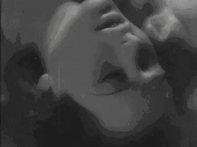 k9犬系到底意味着什么？探索你的内心渴望！ 一