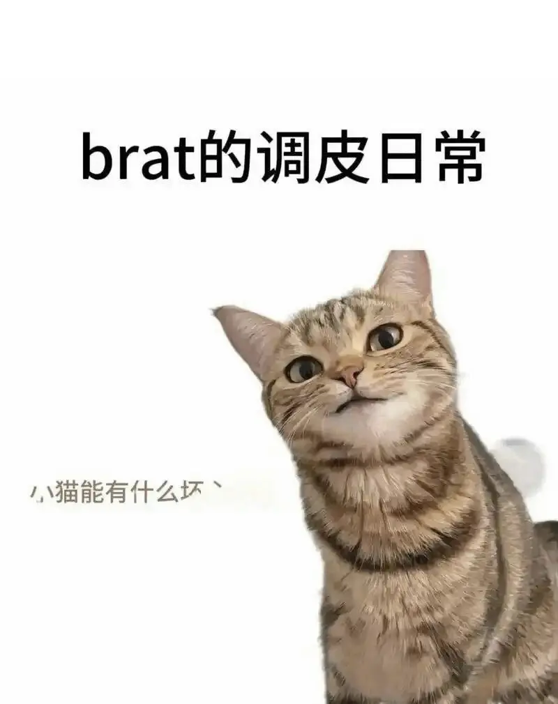 圣水与恋足癖的奇妙结合，你了解多少？ 一