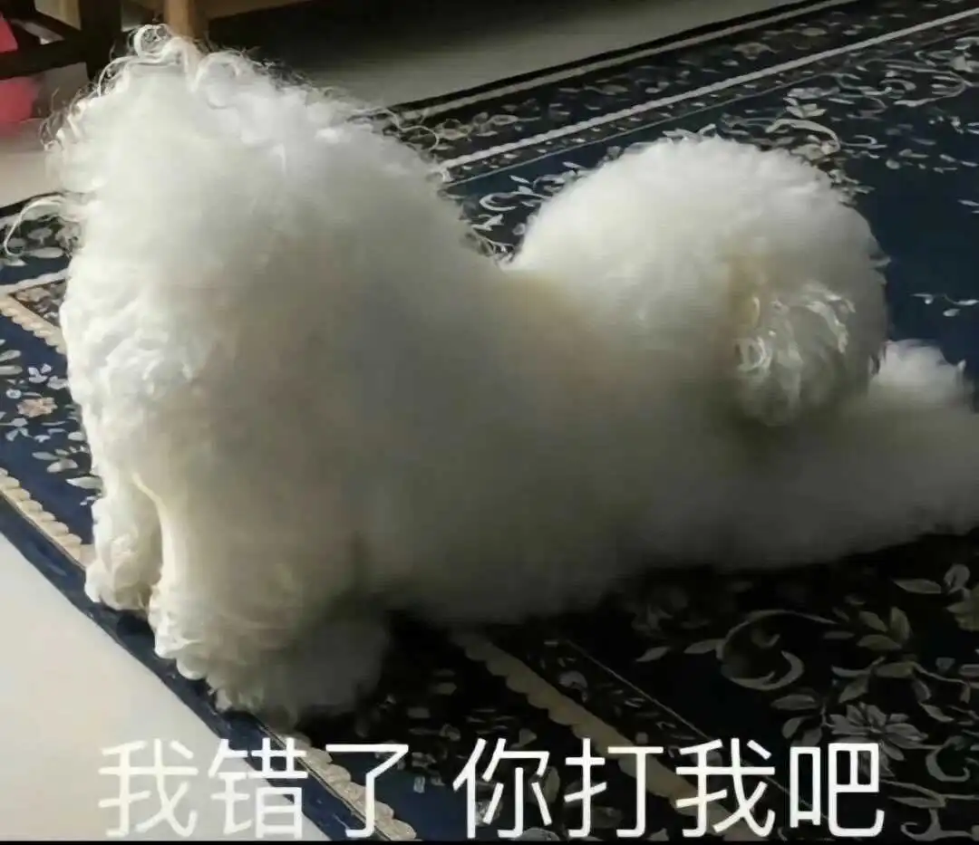如何在字母圈中有效实施aftercare以促进关系的深入？ 一