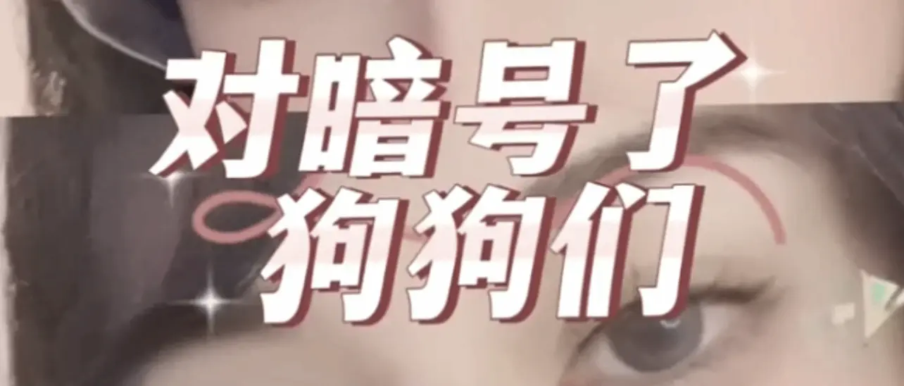SP小圈中的秘密与探索：你准备好进入这个神秘世界了吗？ 一