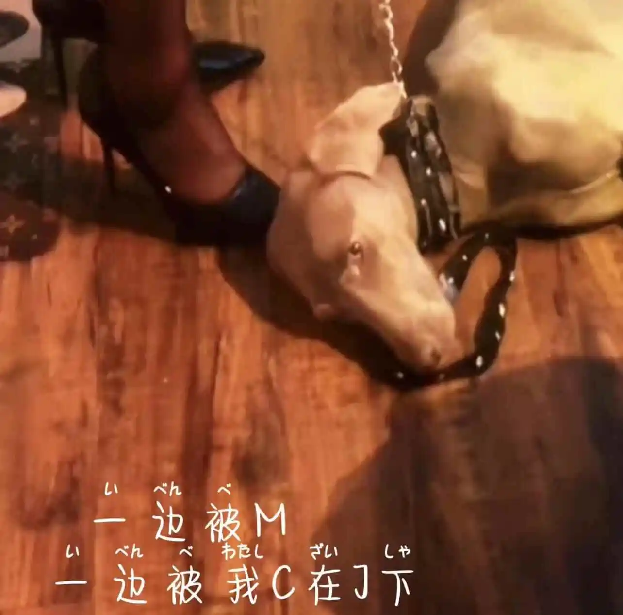 字母圈的aftercare为何让你和伴侣更亲密？ 一